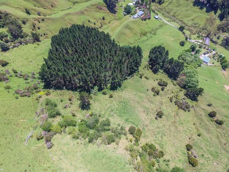 430 Krippner Road Puhoi_19