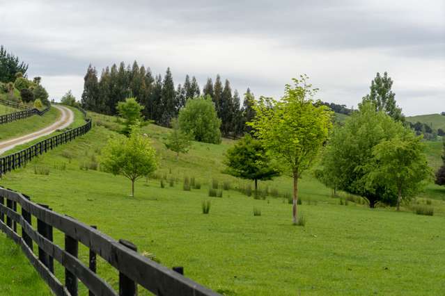 117 Lees Pakaraka Road Masterton_4