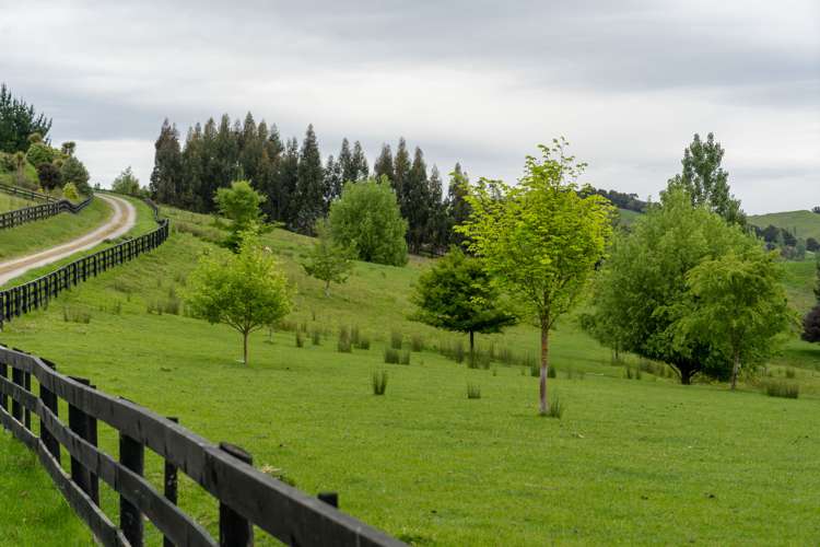 117 Lees Pakaraka Road Masterton_4