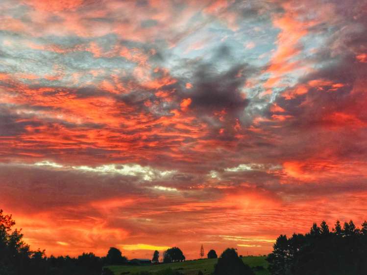 324 Trig Road Whitford_54