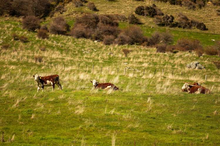 Cecil Peak Station Queenstown_26