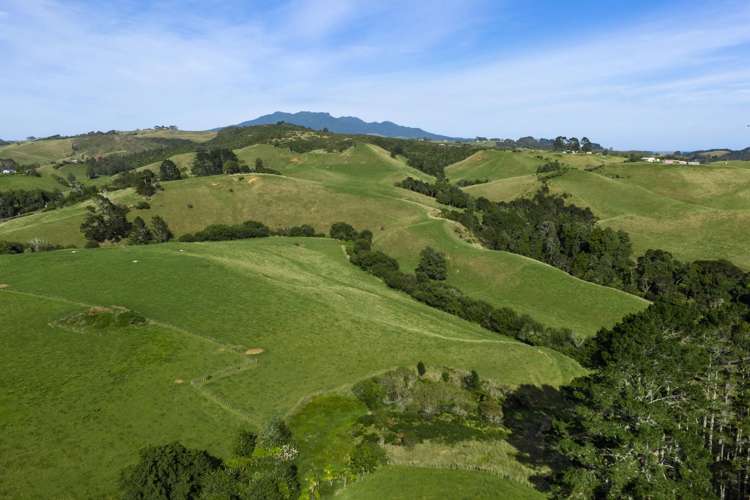 Lot 2 DP13672 and Section 2 SO 621742 State Highway 23 Raglan_7