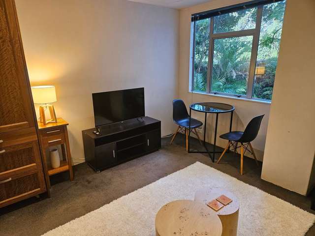 207/10 Ronayne Street Auckland Central_1