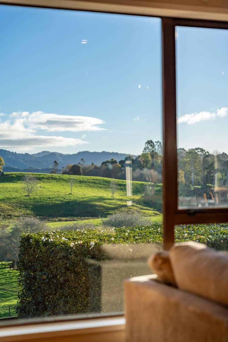 113 Woolrich Road Te Kowhai_6