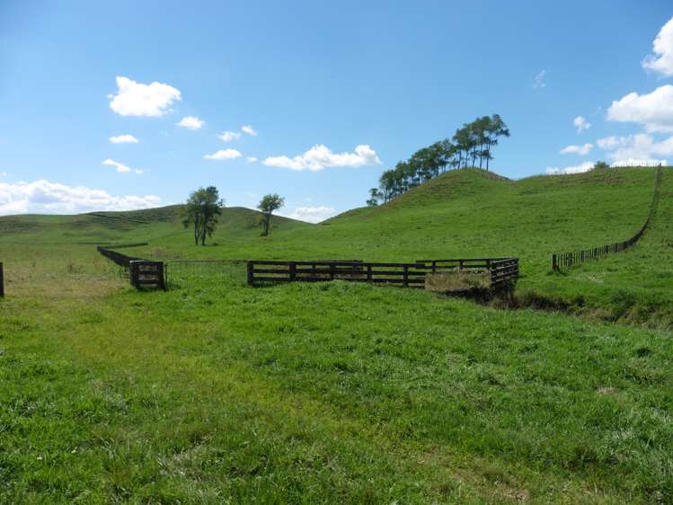 220 Tikitiki Road Te Kuiti_15