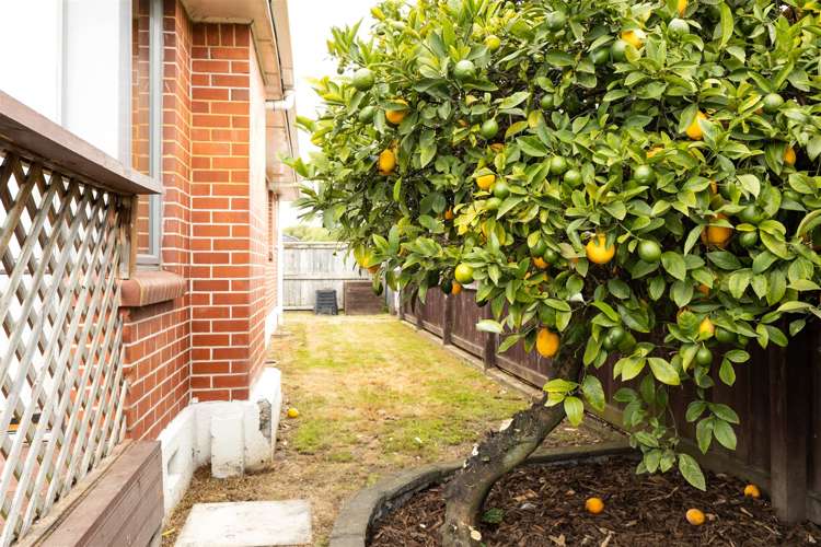 44 Dillons Point Road Islington_16