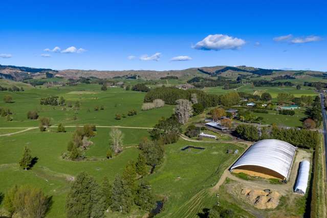 141 Te Mata Road Raglan_3