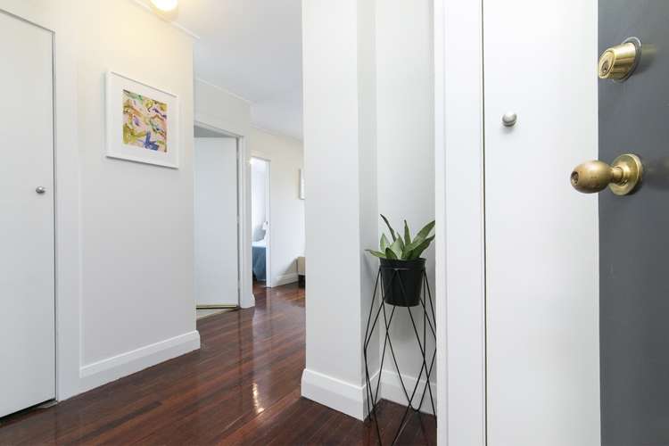 6/73c Carlton Gore Road Newmarket_5