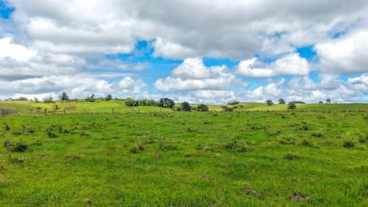 103A Ginn Road Huntly_17