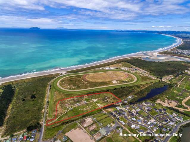 98 Peter Snell Road Ruakaka_1