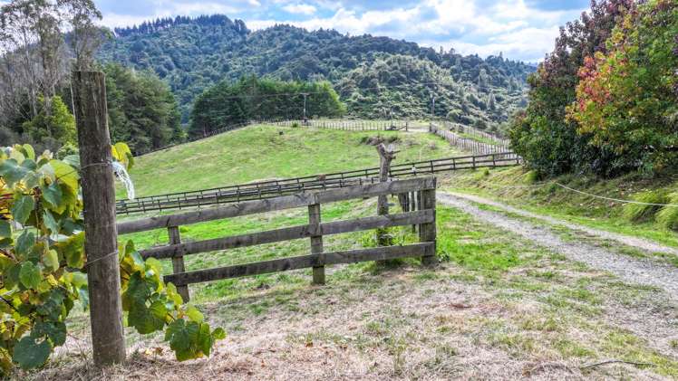 473A Waingaro Road Ngaruawahia_18