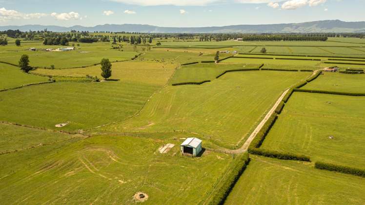 5134 State Highway 29 Matamata_3