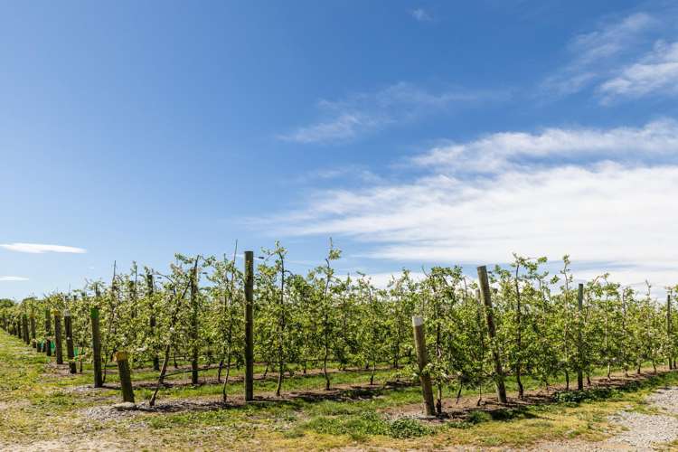 119 Parkhill Road Haumoana_48