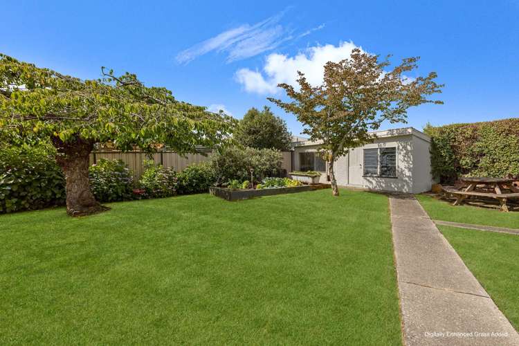 5 Park Street Gore_31