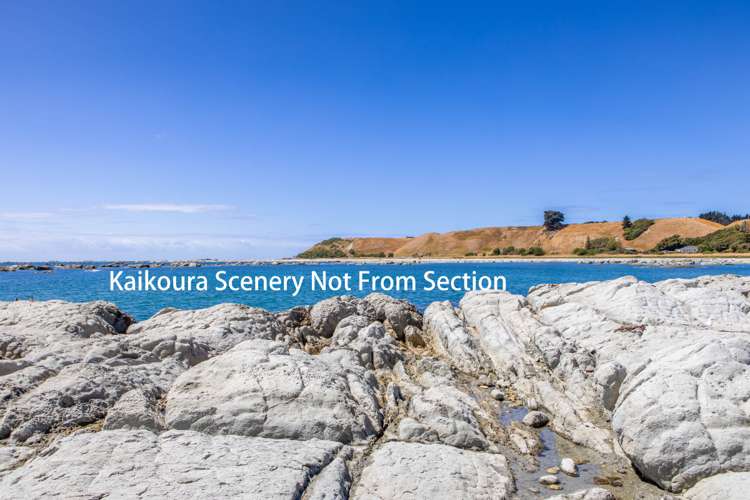 2 Lookers On Lane Kaikoura_16