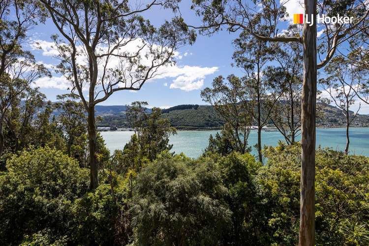 21 Coolock Crescent Waverley_12