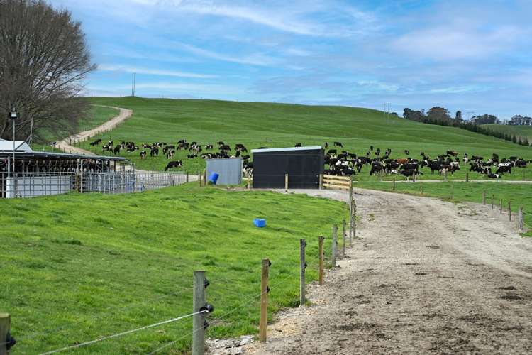 100 Rawhiti Road Reporoa_20