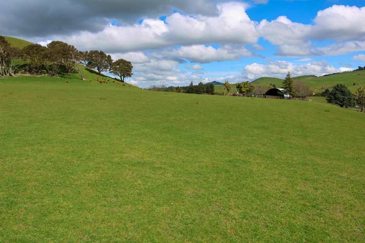 98 Millstream Road Dannevirke_7