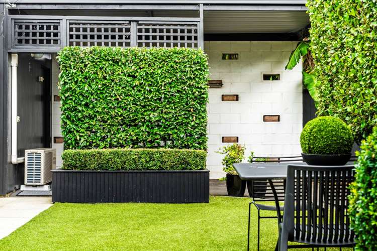 17a Thatcher Street Mission Bay_24