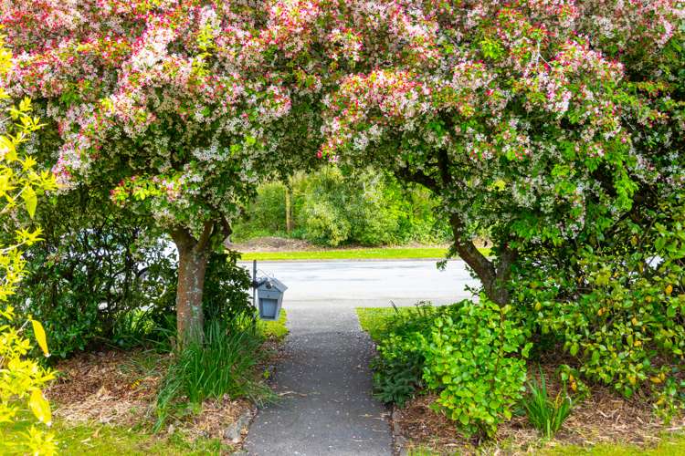 42 Mckenzie Street Geraldine_22