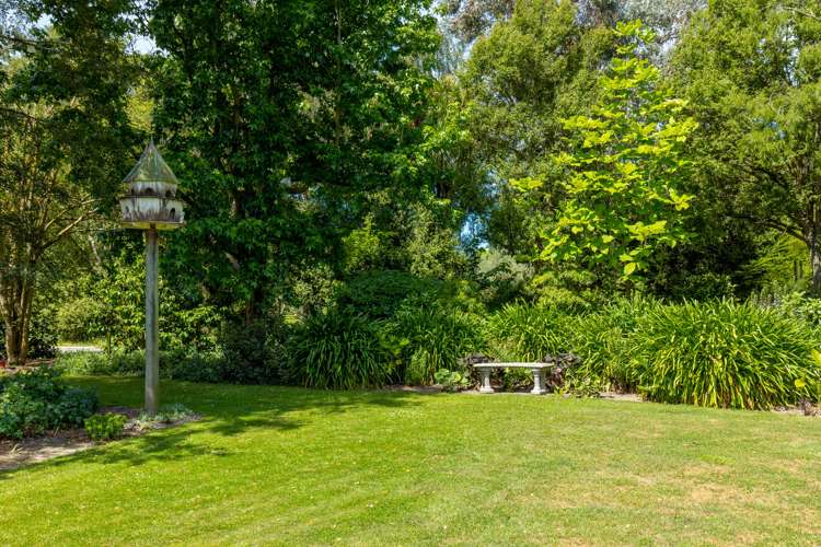 33 David Street Yelverton_9