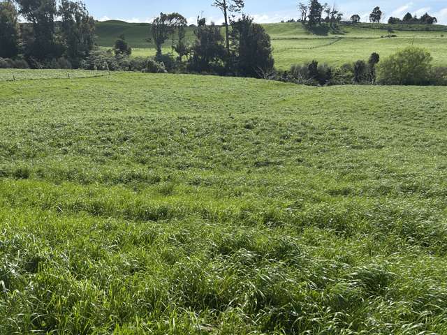 0pp/379 Corbett Road Lepperton_1