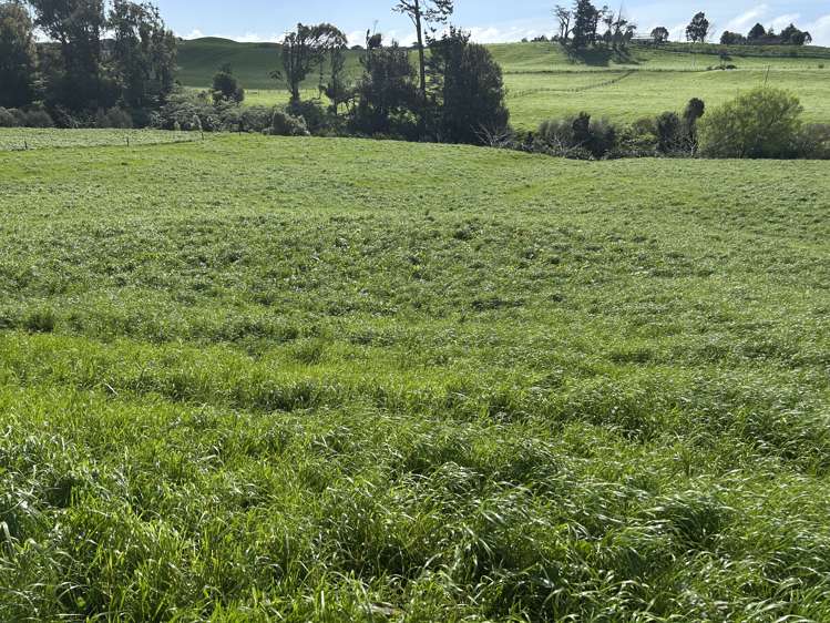 0pp/379 Corbett Road Lepperton_1