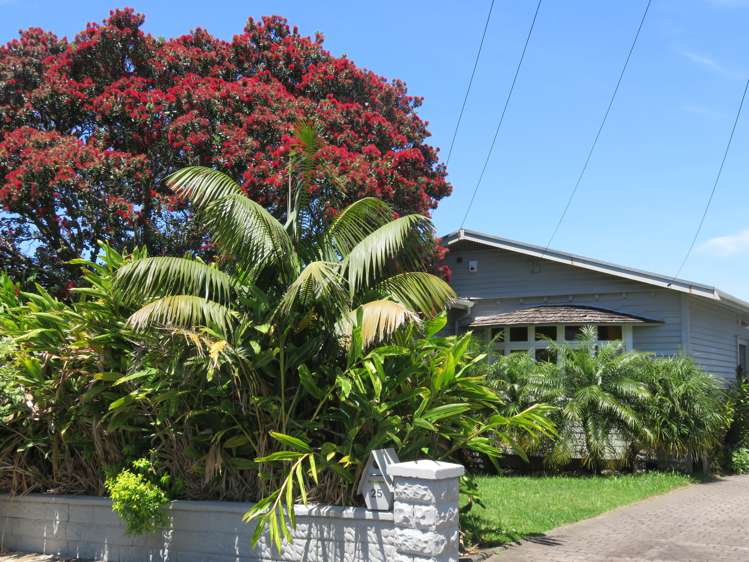 25 Seacombe Road Point Chevalier_18
