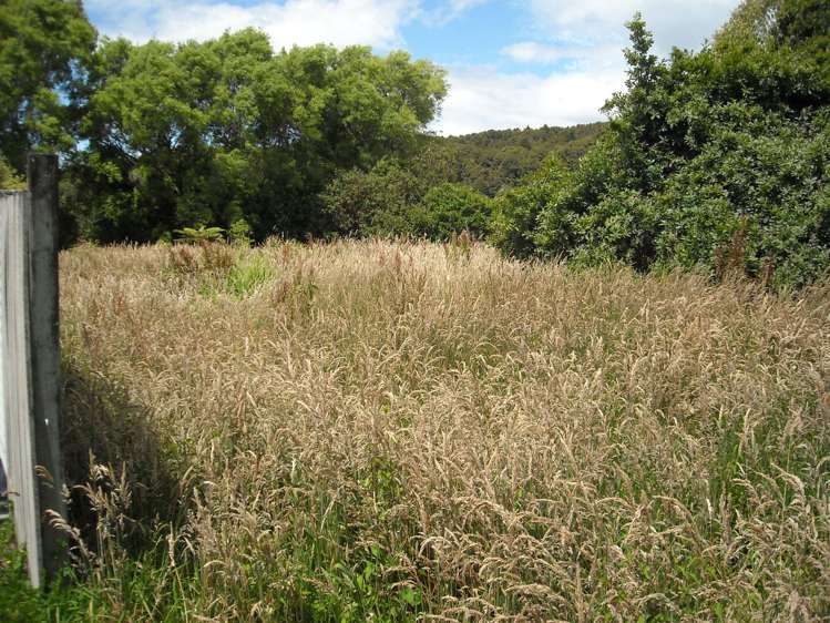 30 Gibson Street Ross_16