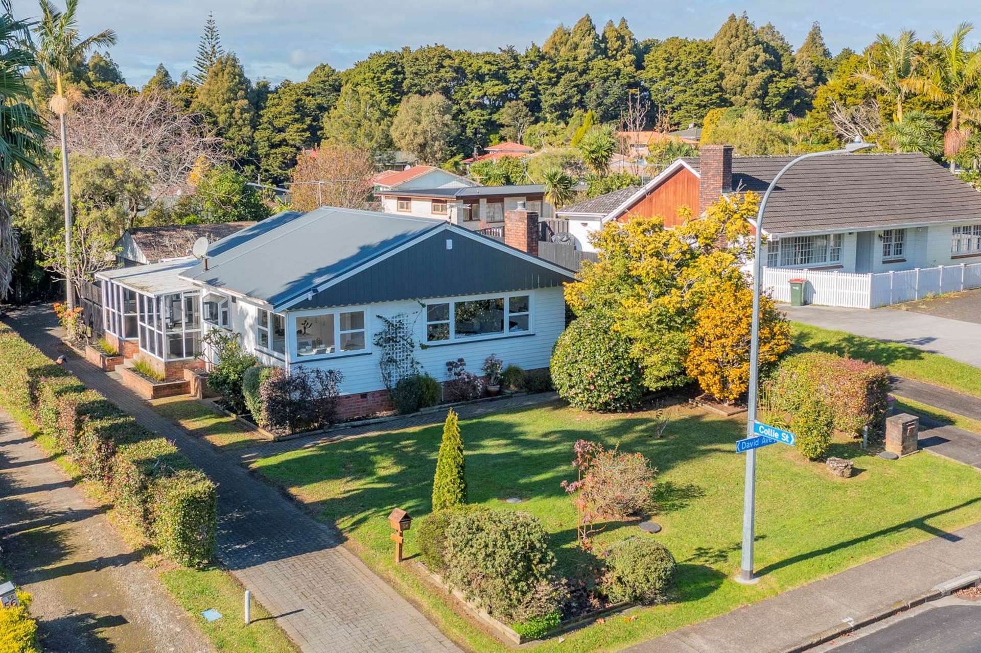 58 David Avenue Hillpark_0