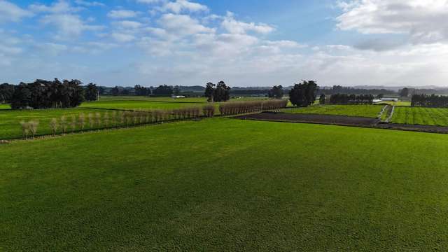 19 Rose Lane Edendale_3