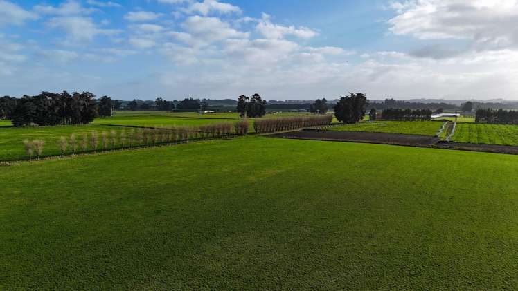 19 Rose Lane Edendale_3
