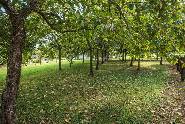 587c Crane Road Kauri_27
