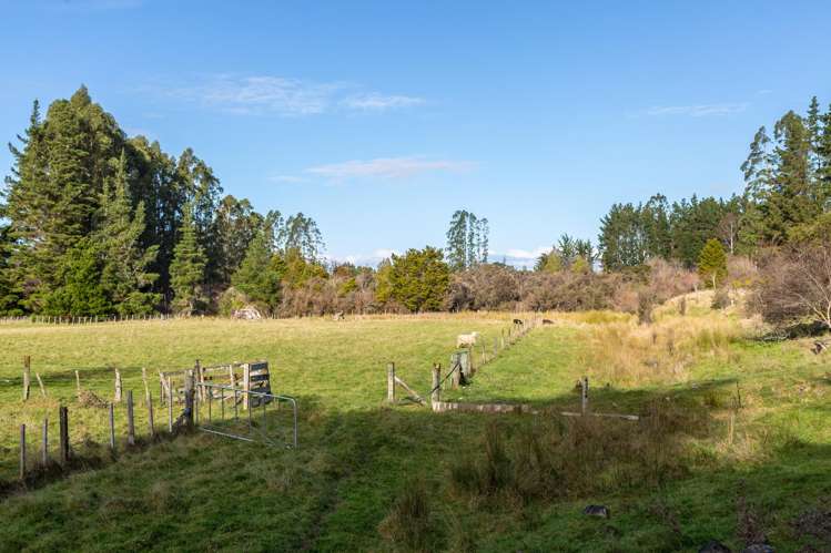 803 Norfolk Road Carterton_9