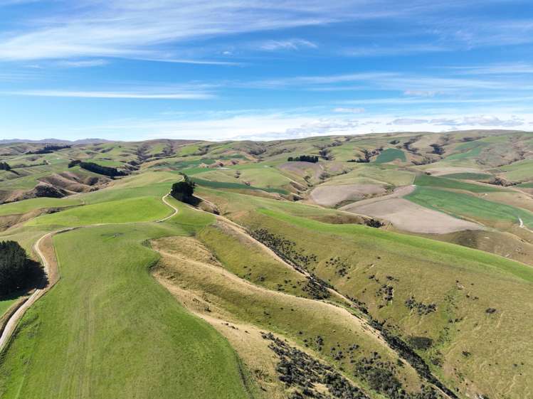 665-901 Tima Burn Road Teviot_25