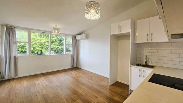 3/6 Puka Street Onehunga_2