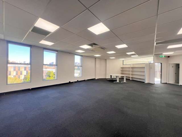 28 Heather Street Parnell_3