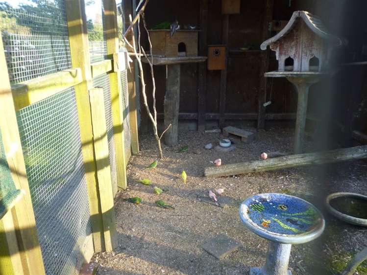 1375 Mcclure Street Pirongia_27