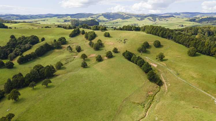 173 Day Road Wellsford_22