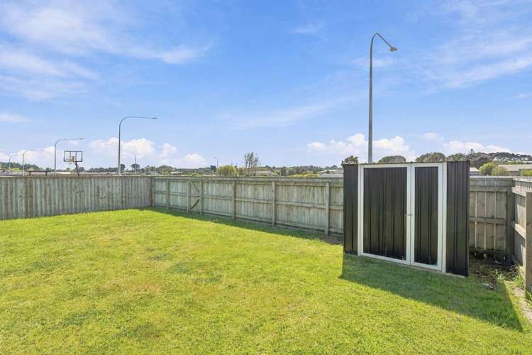 9 Morrell Street Tawhero_20