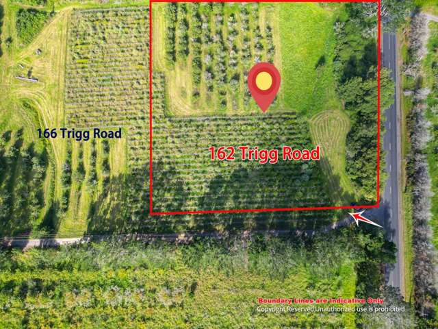 162 Trigg Road Huapai_2