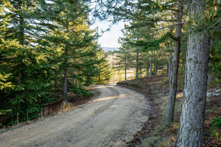 336 Letts Gully Road Alexandra_22