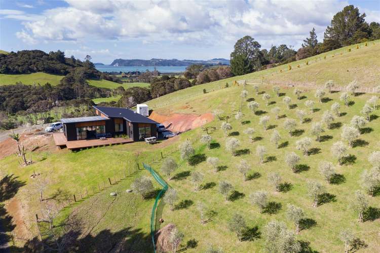 44 Spikes Way Whitianga_23