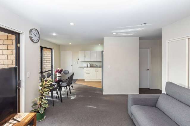 1/219 Aldwins Road Linwood_2