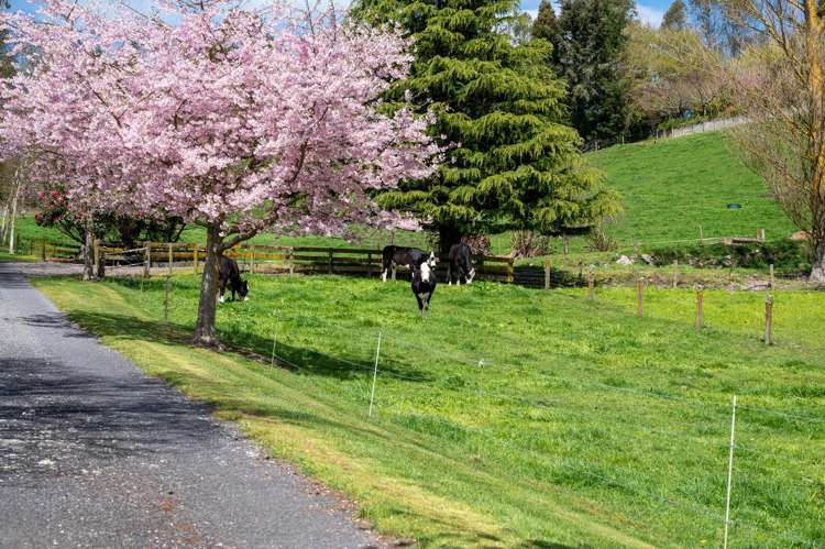 1211 Waikite Valley Road Waikite Valley_3