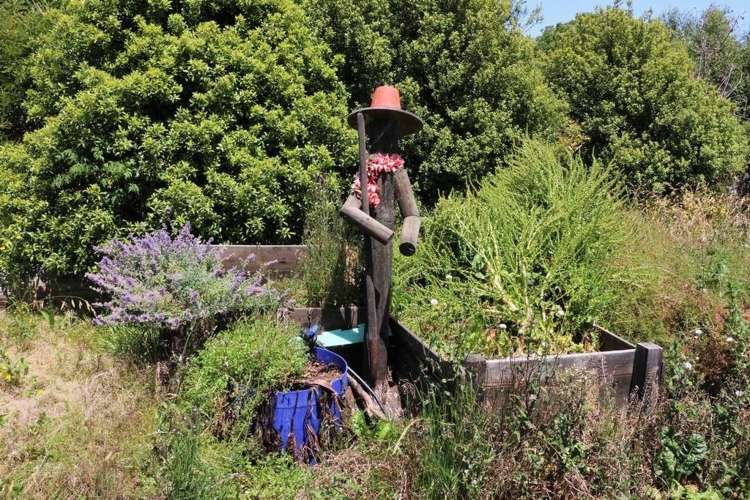 Waituna School Road Waimate_9