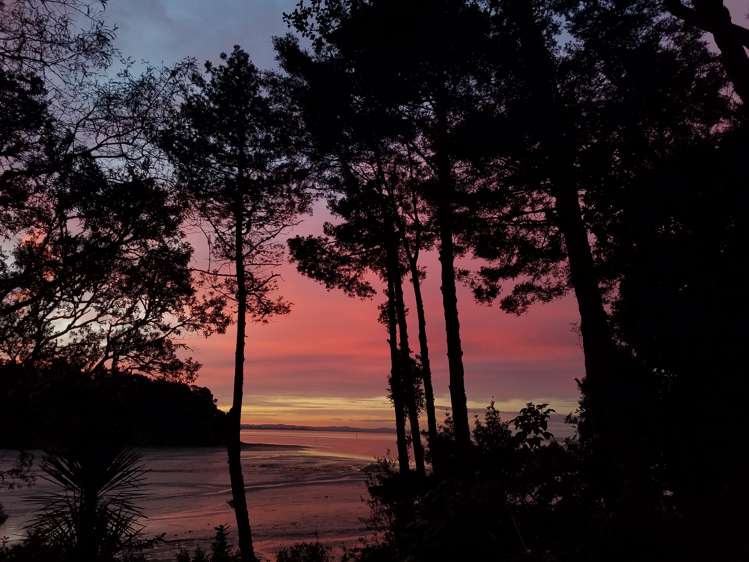 14 Paturoa Road Titirangi_23