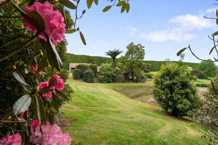 862 No 1 Road Te Puke_24