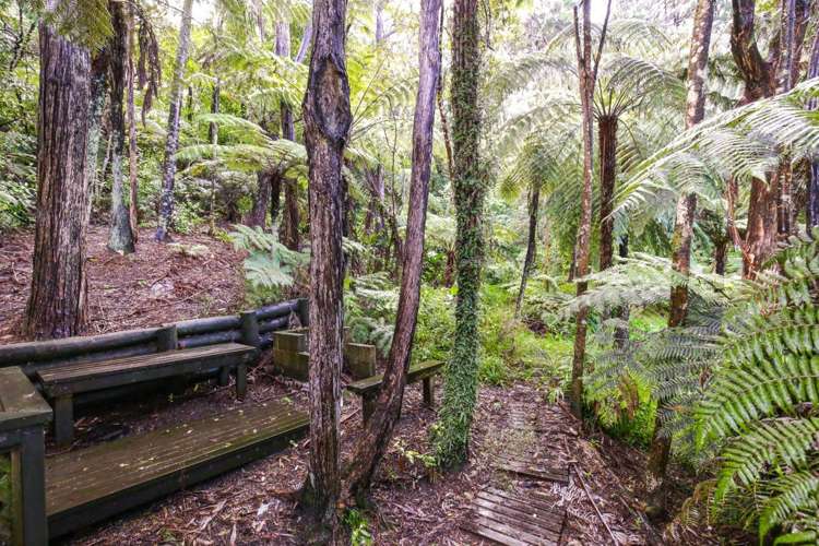 4 Karapiti Place Glen Eden_16