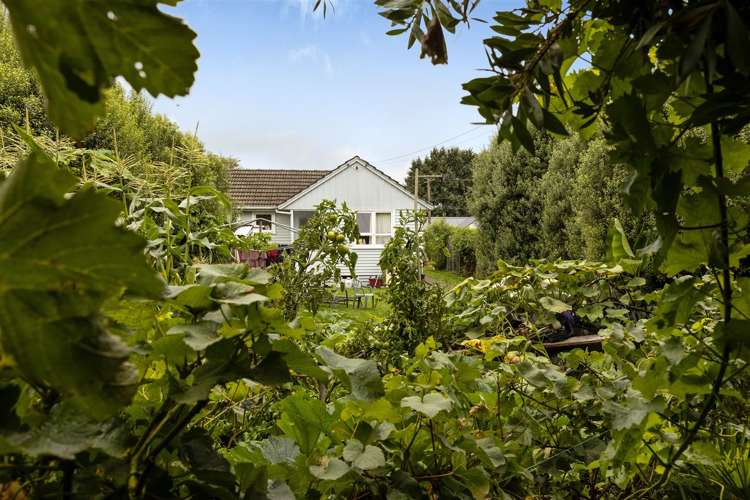 23 Henderson Street Riversdale_1